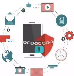 网络安全 掌握网络与信息安全软件开发的核心新知