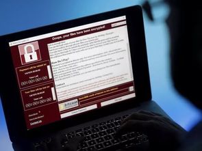 揭秘网络与信息安全信息通报中心 软件开发的关键基石